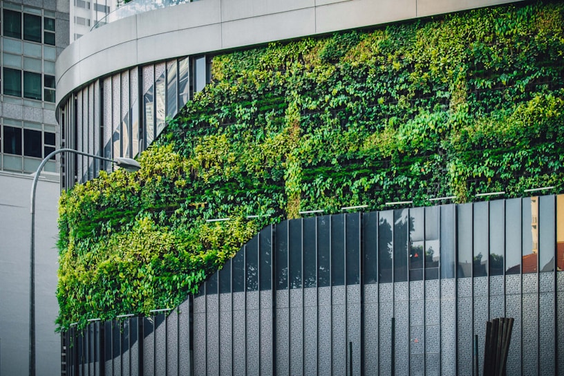 A lush vertical garden wall integrated into a modern office building, showcasing vibrant greenery and natural textures.