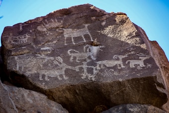 Carved petroglyphs are visible on a rock surface, depicting various animals with simplistic, stylized shapes. These ancient engravings show figures resembling deer and perhaps other wildlife or mythical creatures. The rock appears rugged and eroded, with a mix of shadow and sunlight enhancing the textures.