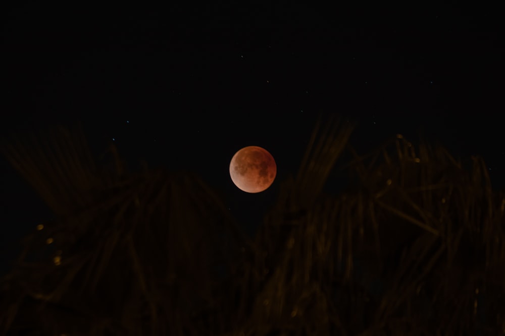 shallow focus of moon