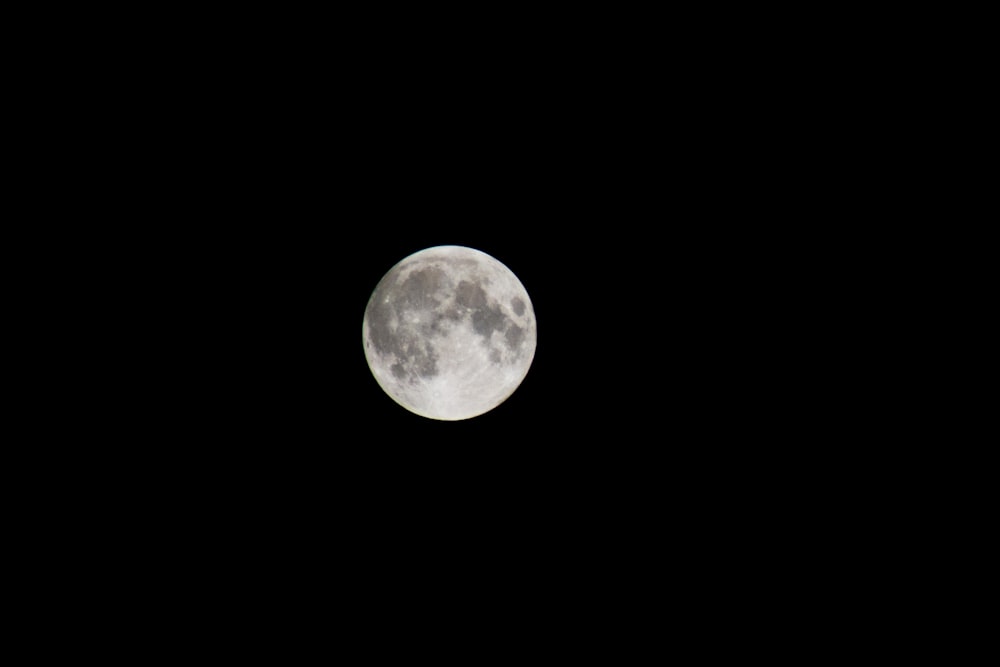 white full moon during night time