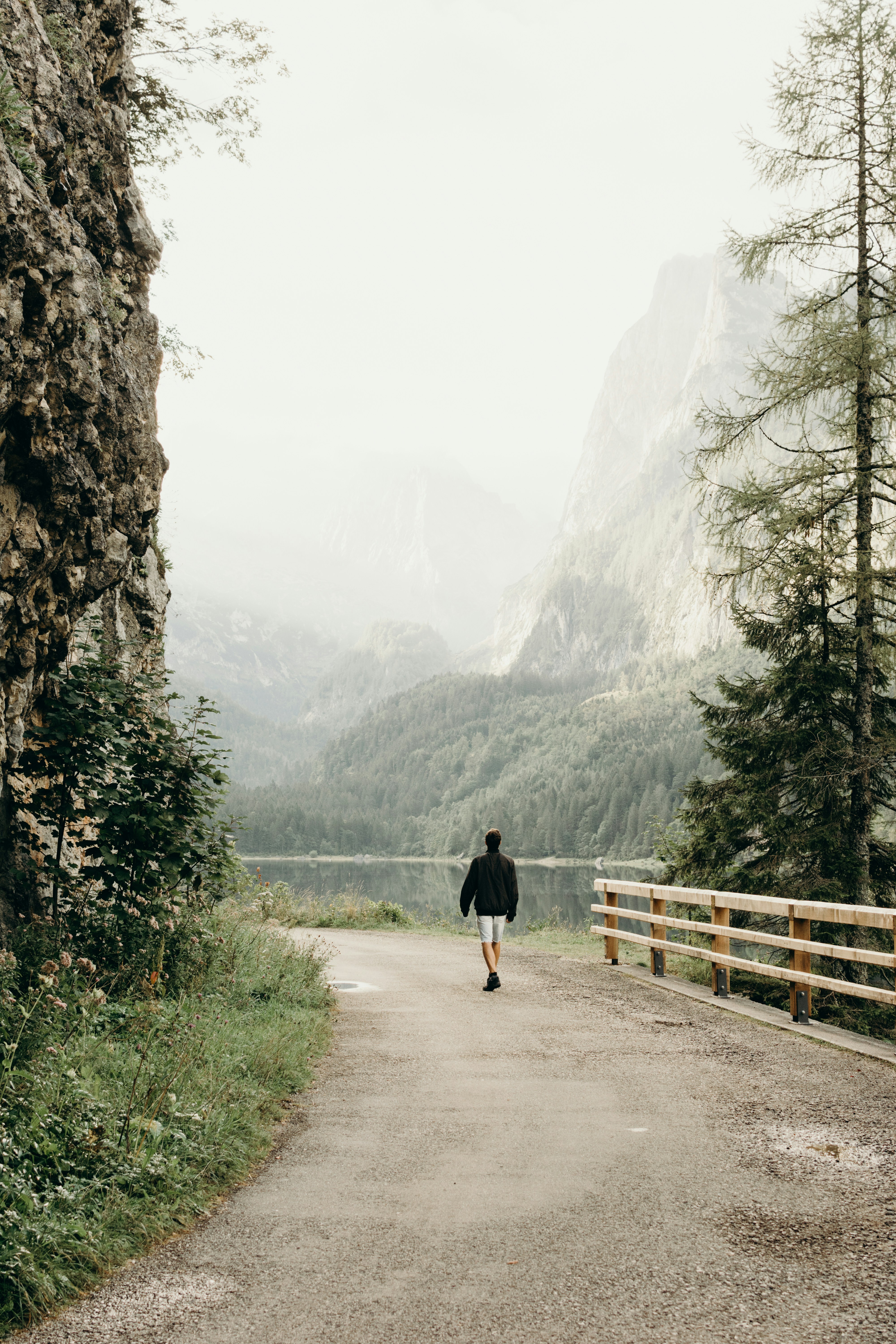 person wearing black jacket walking on road near the tree