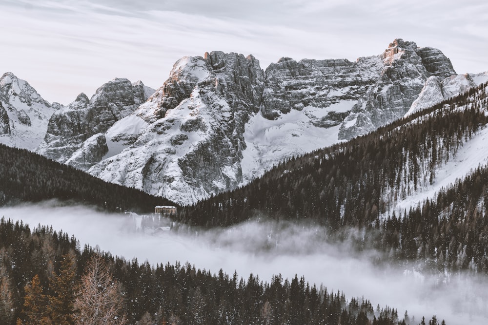 photo of mountain alps