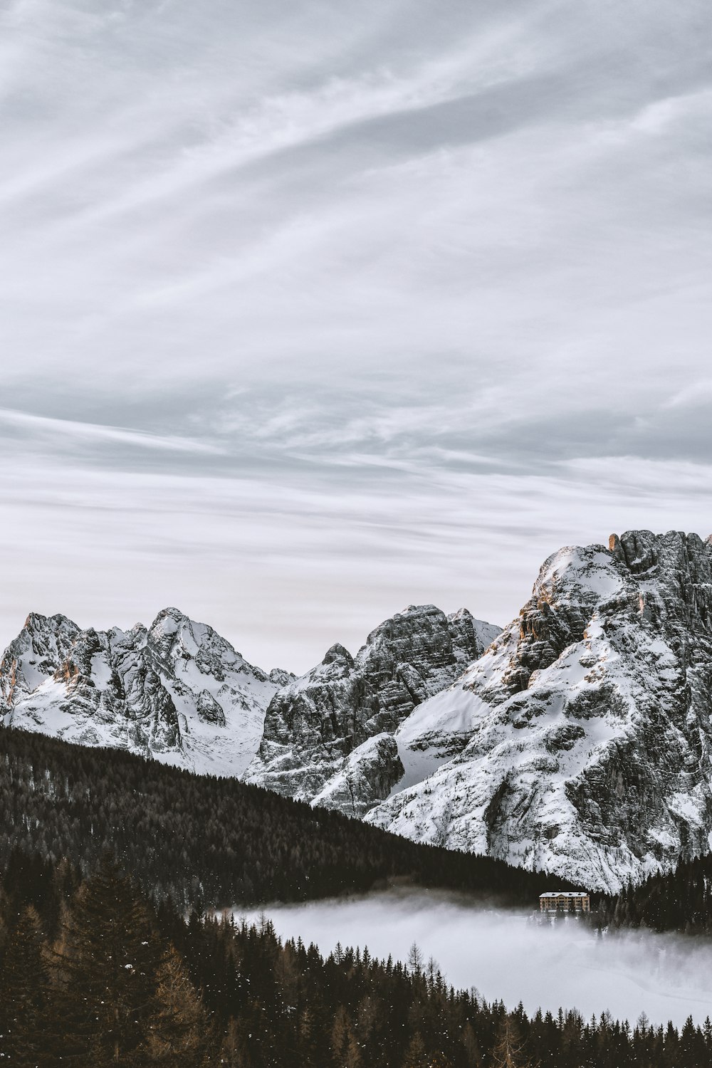 photo of mountain near pine trees