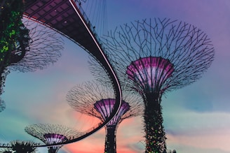 photo of Gardens by the Bay, Singapore