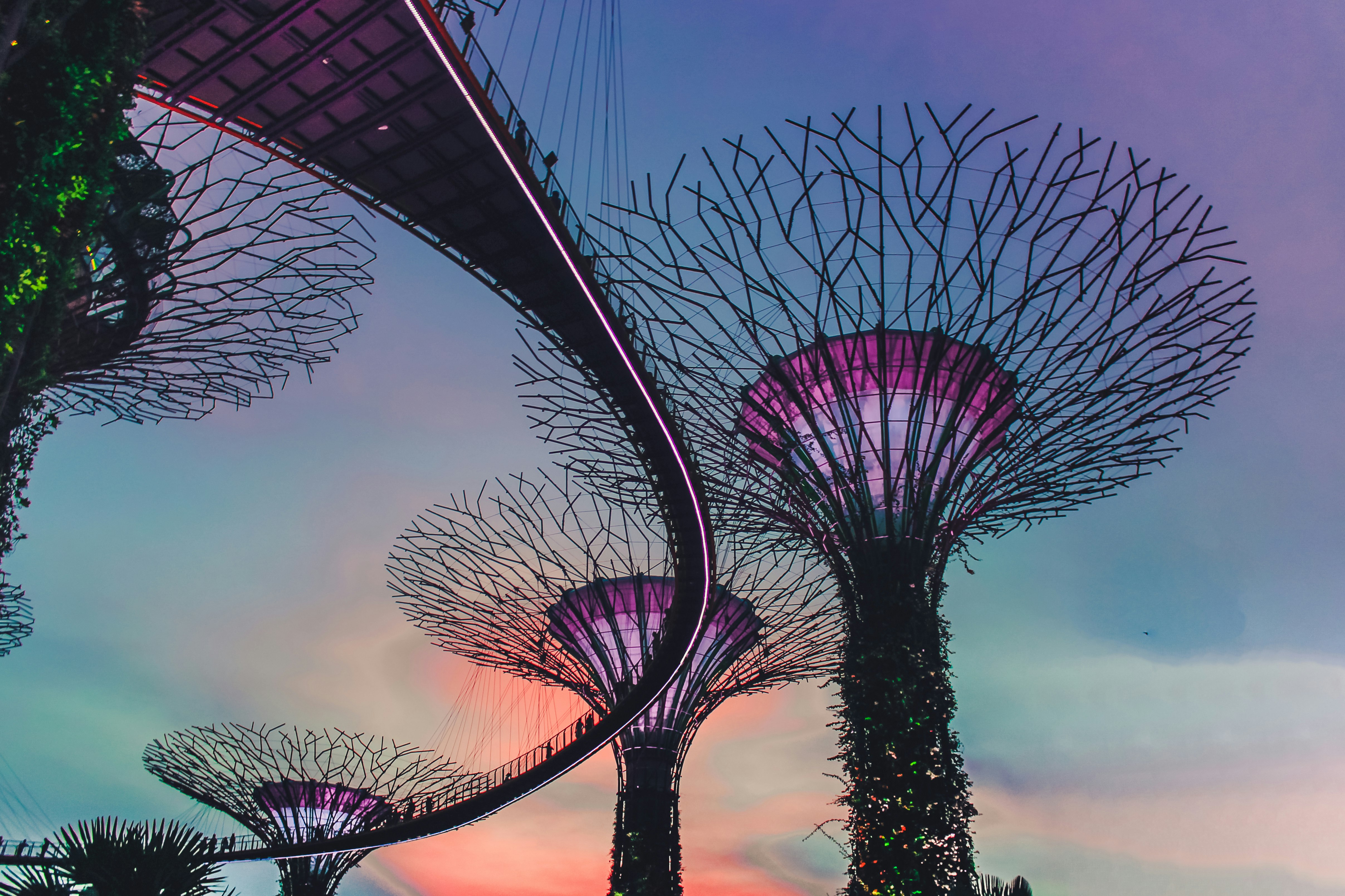 Sunset at Gardens by the Bay – Singapore