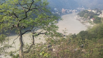 A scenic view of a river flowing through a hilly landscape, with a tree in the foreground. On one side of the river, there are buildings and a temple, while the opposite side is lined with lush greenery and rocky formations.