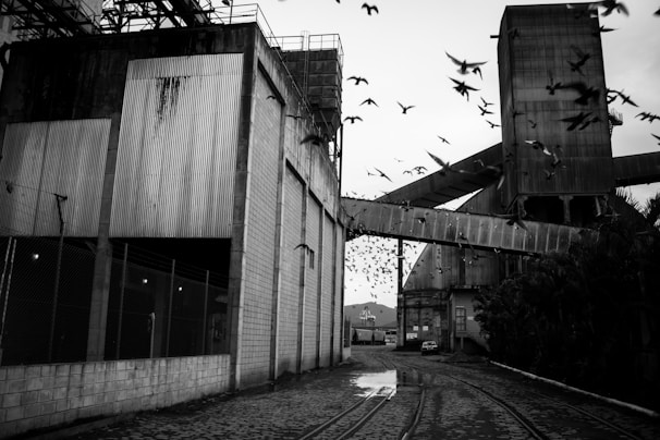 An industrial scene with large concrete and metal structures towering over a narrow passage. A flock of birds is flying above and around the buildings, creating a dynamic contrast with the static architecture. The ground is wet, reflecting the structures and sky, and a puddle is visible on the cobblestone path. In the distance, there is an open gate and a vehicle is parked nearby.