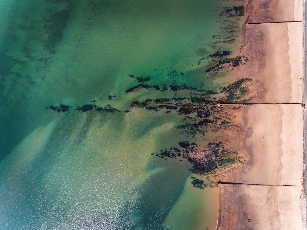 aerial photography of green sea during daytime