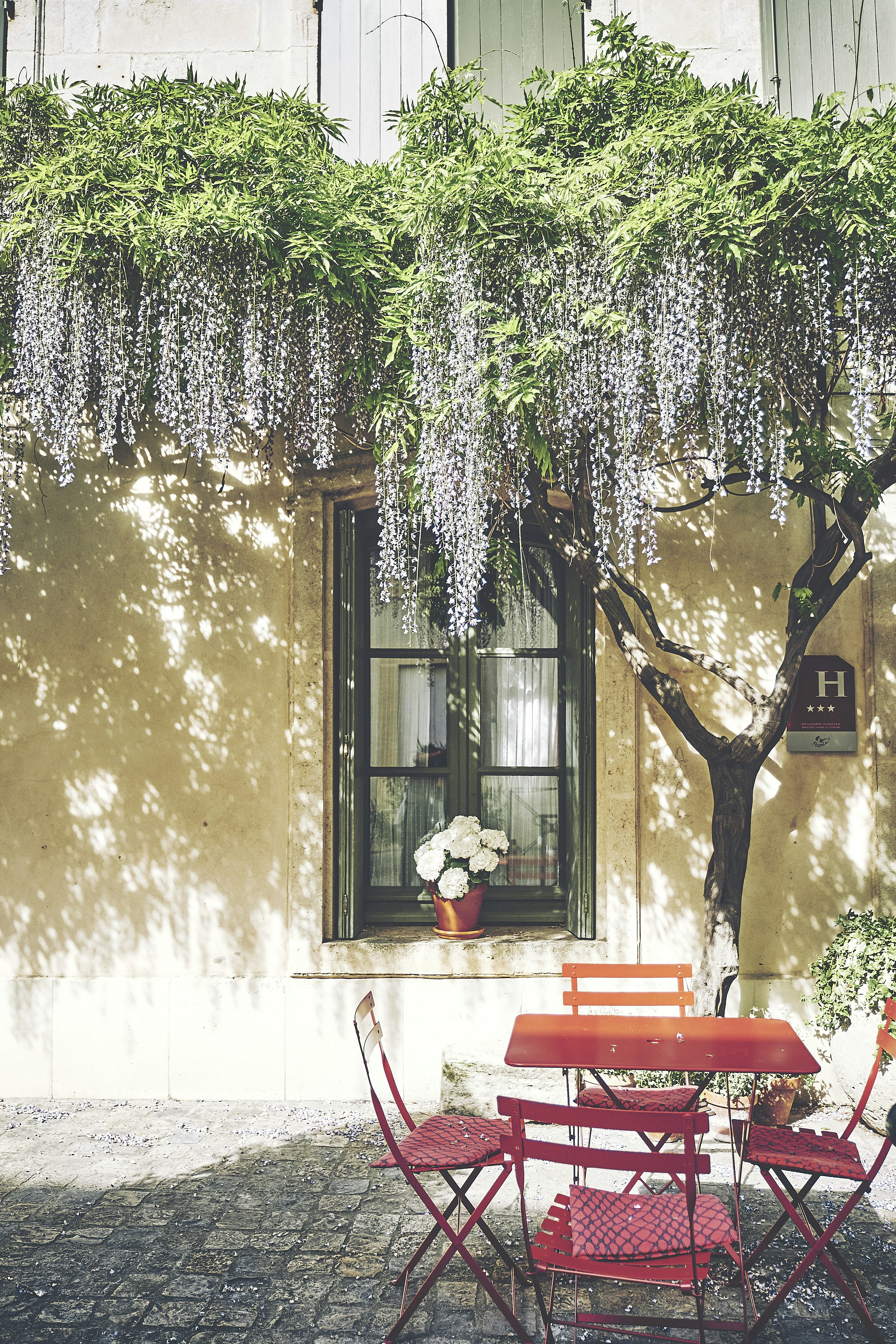 dining set under tree