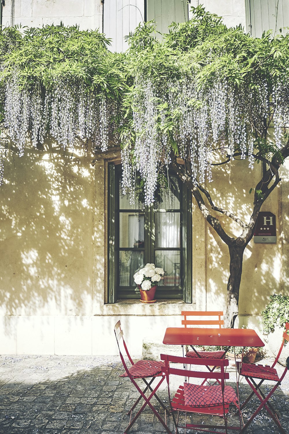 dining set under tree