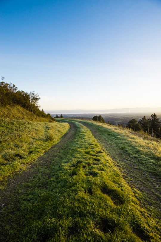 Windy Hill Open Space Preserve things to do in Portola Valley