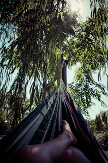 Guests relaxing on hammocks tied between trees, surrounded by lush greenery and birdsong