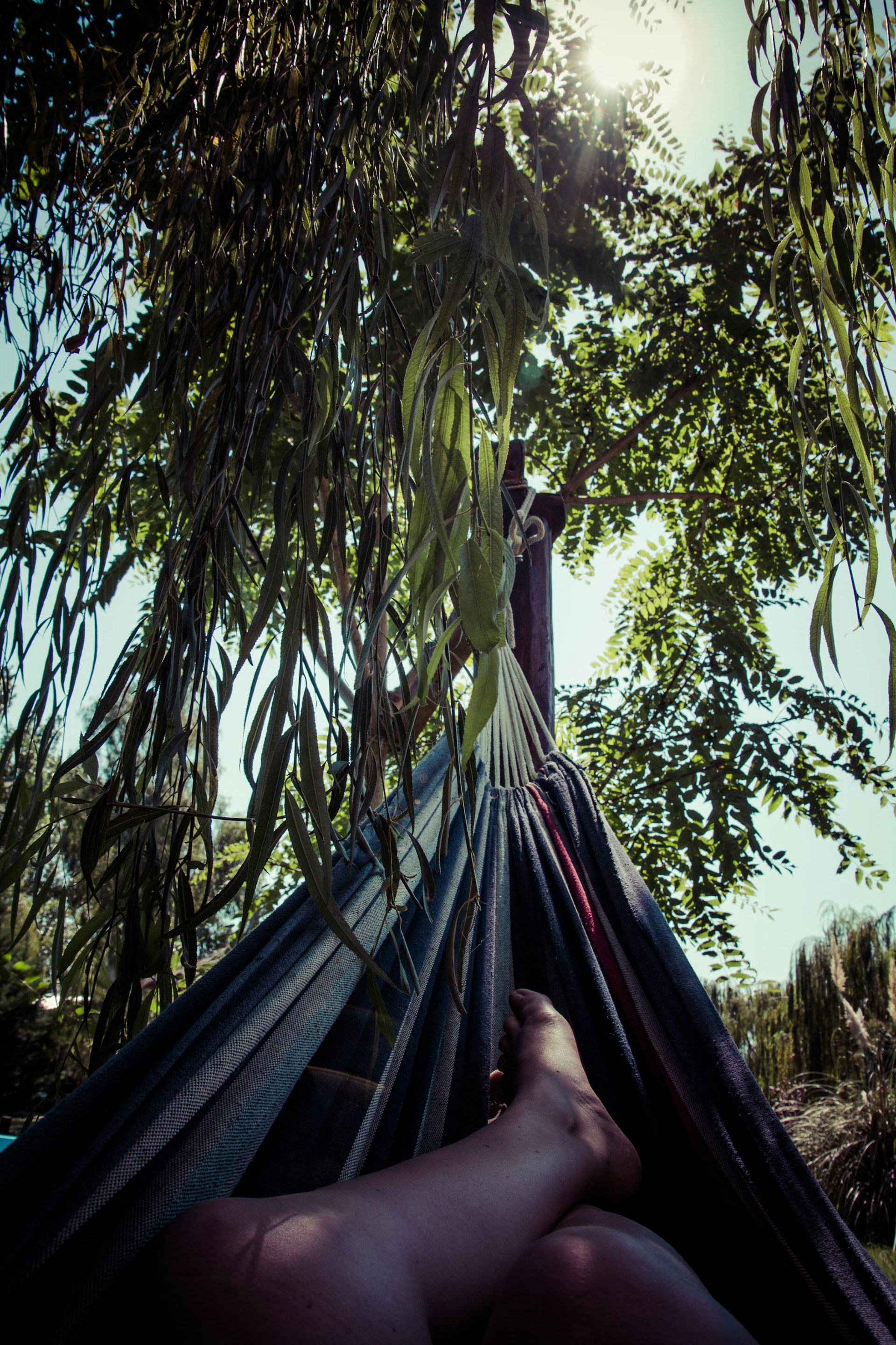 Guests enjoying a peaceful moment on a hammock outside their room, surrounded by lush tropical plants and warm sunlight.