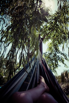A person relaxing in a hammock, surrounded by lush greenery with sunlight filtering through tree leaves, creating a serene and calm atmosphere.