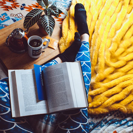 A cozy reading nook with a laptop open to a health blog, surrounded by plants and a cup of tea.