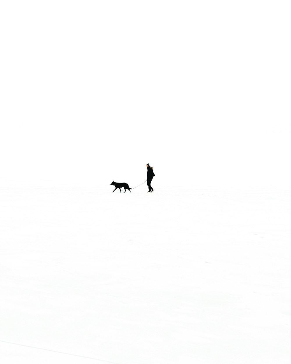 person walking with dog against black background