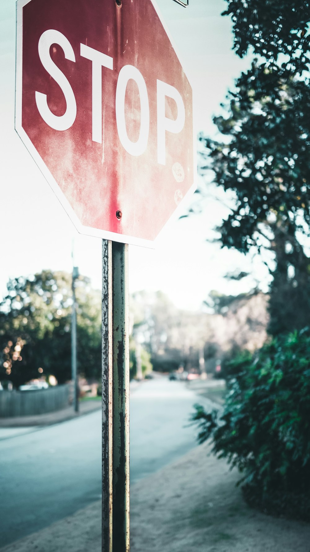 Stop signage