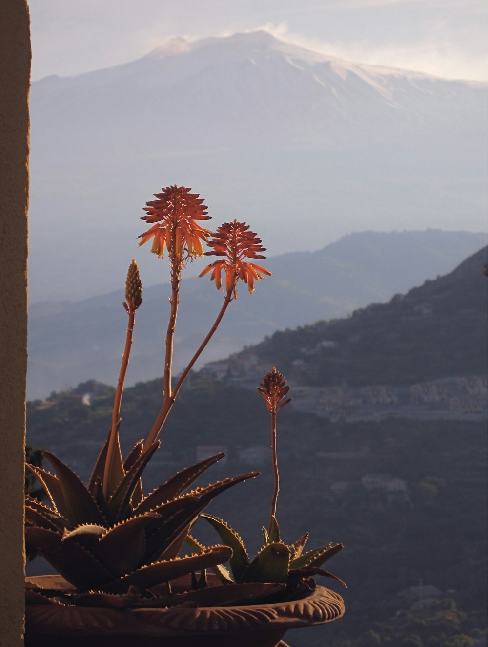 mountain view scenery