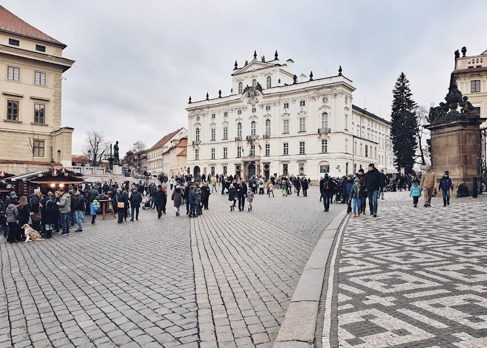 people walking on concrete pavement