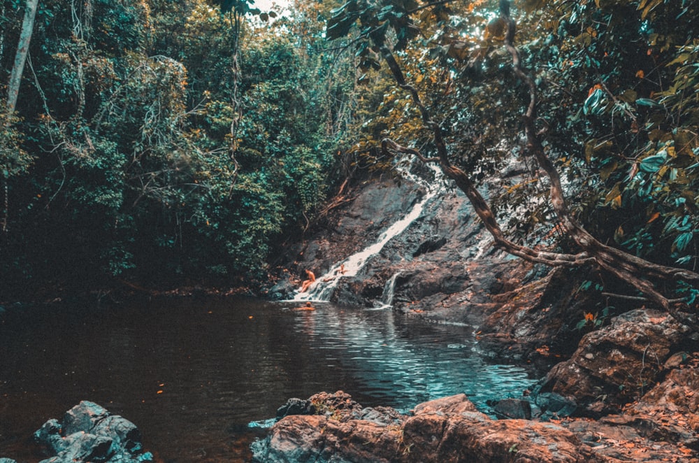 person sitting on rock waterfalls