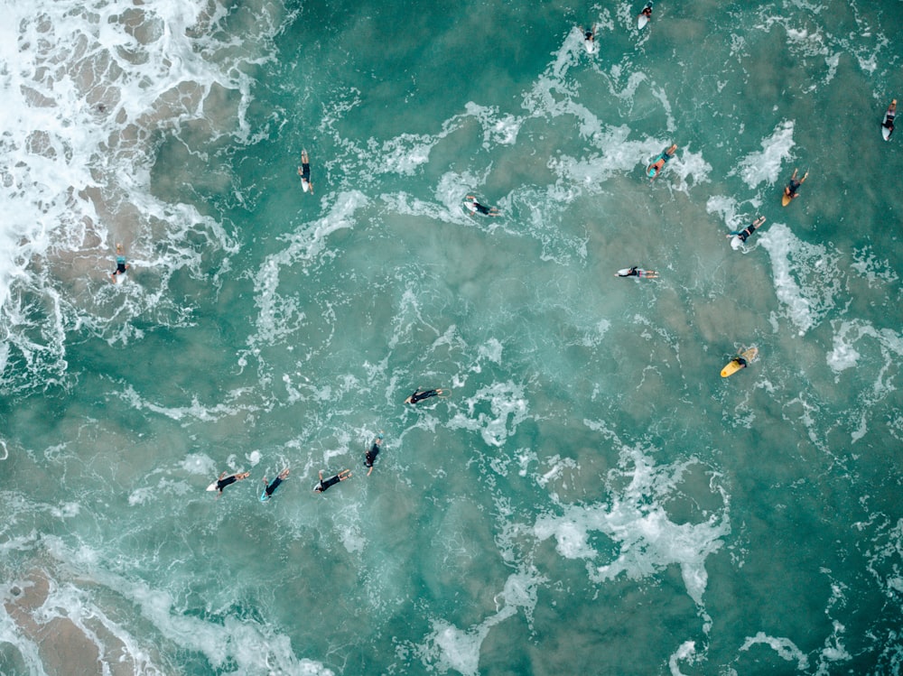 aerial view of body of water