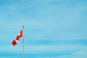 加拿大移民申请积压飙升至240万份