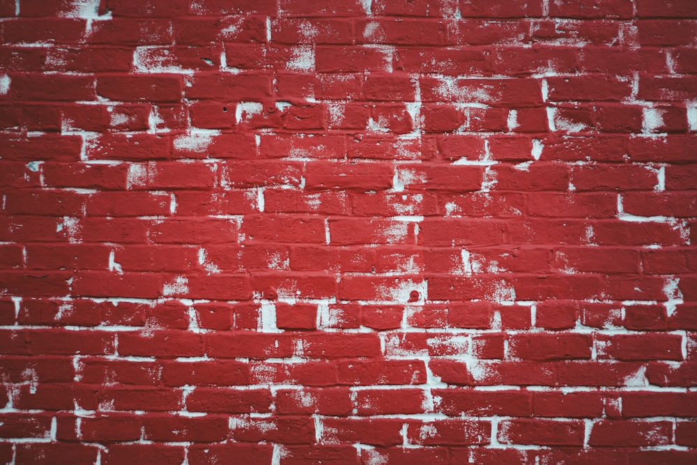 red and white concrete wall bricks