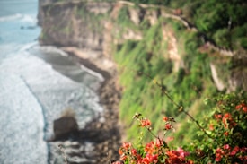 Vibrant flowers in the foreground with a view of a rocky coastline and lush greenery. The sea waves gently lap against the cliffs, and a walking path is visible along the top of the cliffs.