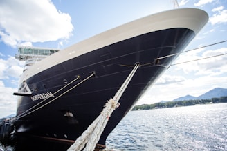white and black cruiser ship on body of water