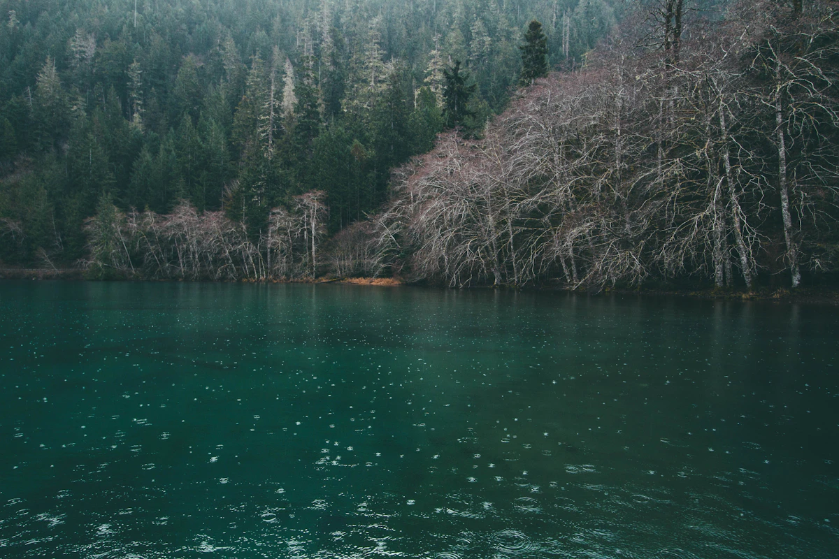 Calm lake surrounded by evergreen trees in Washington State