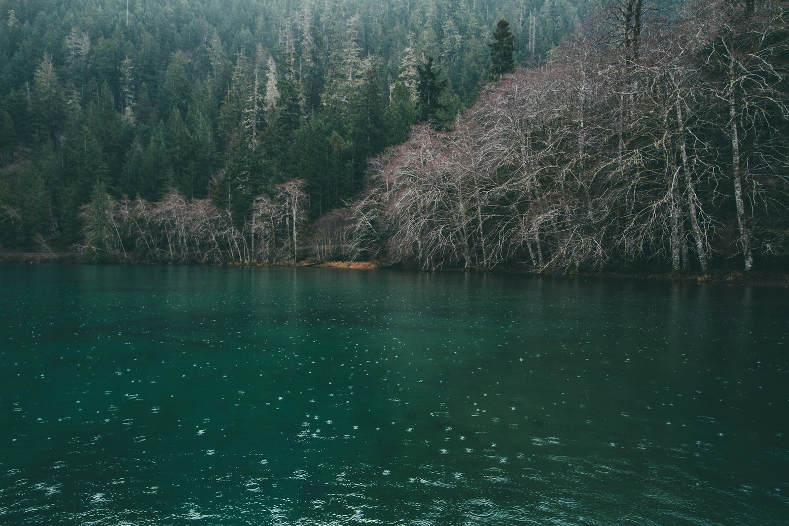 Canon EOS 7D + Canon EF-S 10-22mm F3.5-4.5 USM sample photo. Calm body of water photography