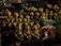 A collection of intricately crafted wooden figurines, each with unique facial expressions and colorful attire, is displayed densely on shelves. Among the figures, there are a variety of handcrafted items and trinkets surrounding them, showcasing a rich assortment of artwork and decor.