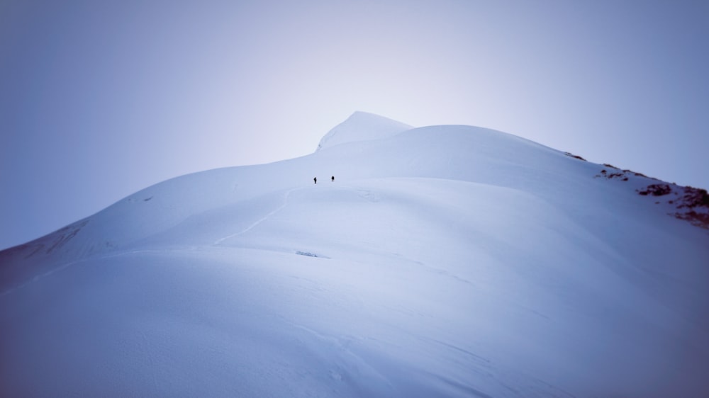 白い雪に覆われた山の上の人