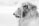 grayscale photo of lion