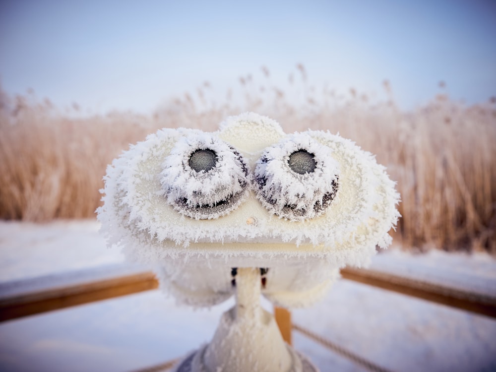 shallow focus photography of landscape viewer covered in ice