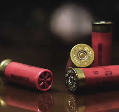 red and gold shotgun shells