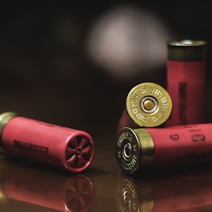 red and gold shotgun shells