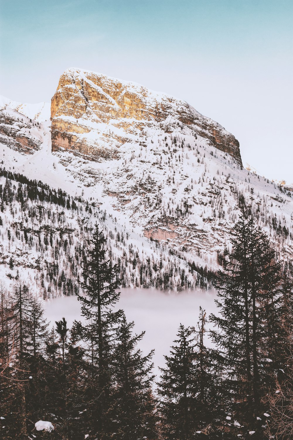 photographie de paysage de montagne enduite de neige