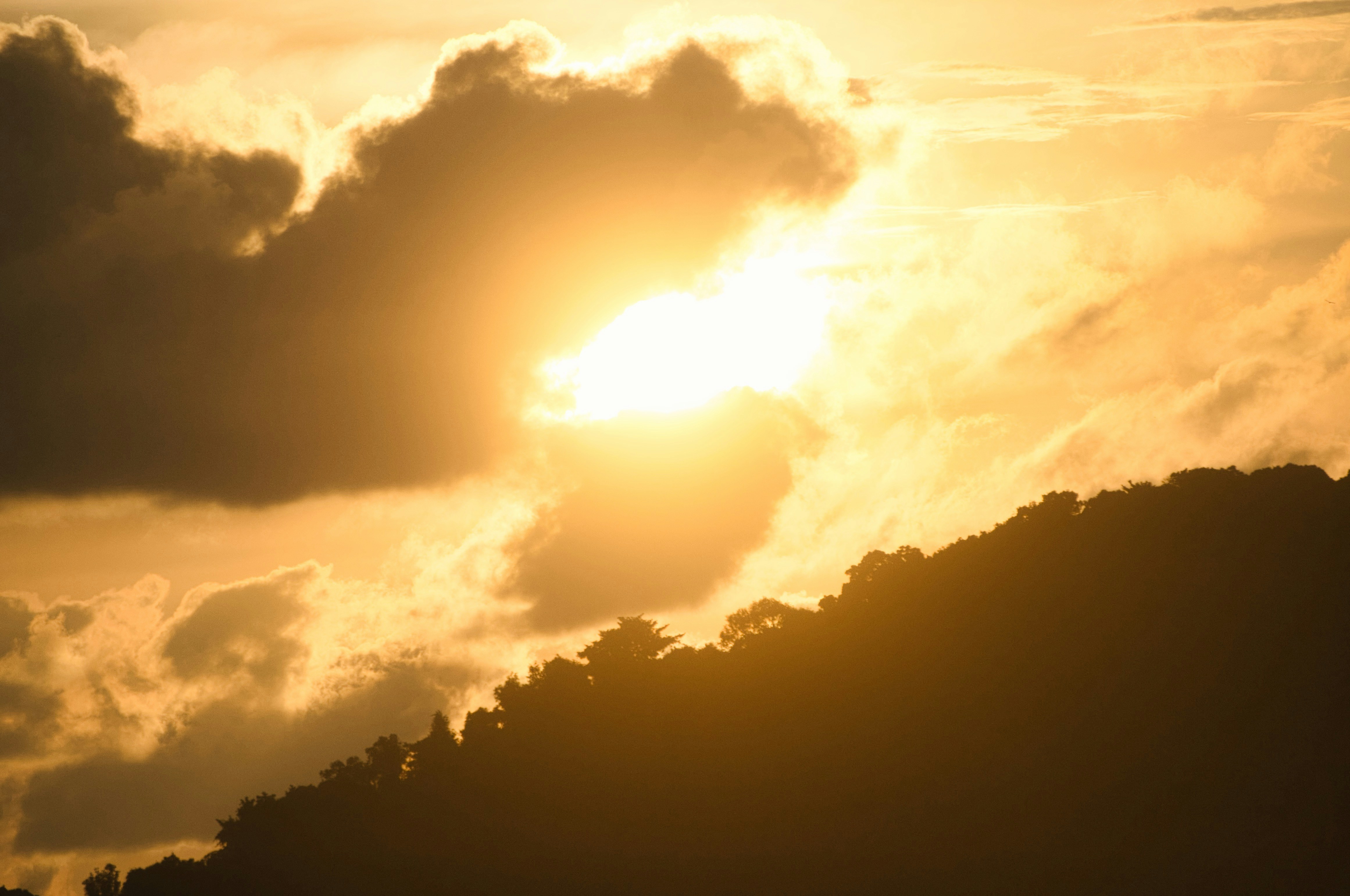 Photo by notquitemax