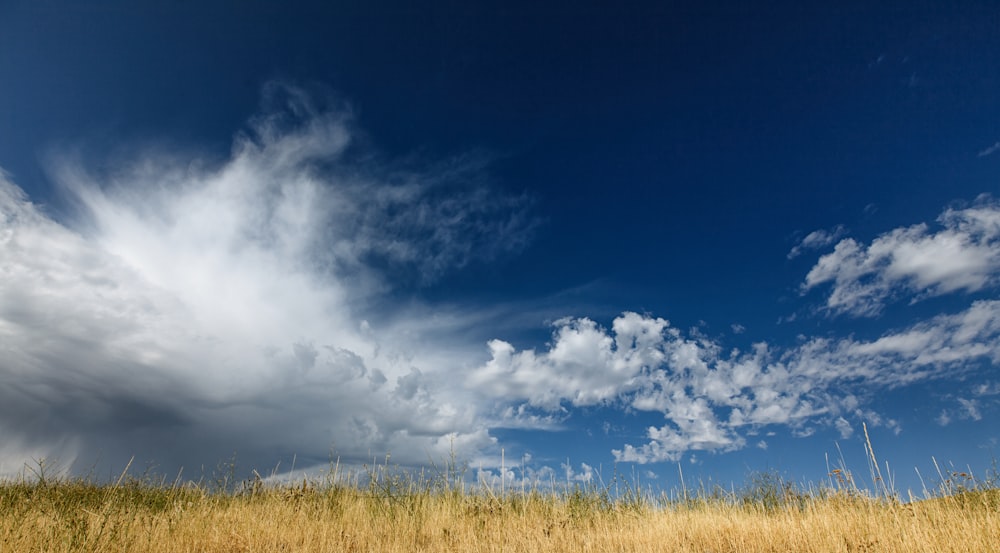 worms eye view photography of cloudy sky