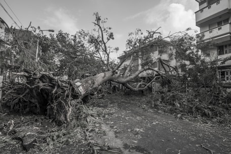 Workers clearing storm debris and fallen branches from a suburban street.