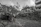 Image showing a team carefully removing a fallen tree from a residential street in Kwazulu-Natal.