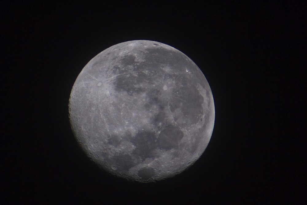 closeup photo of moon