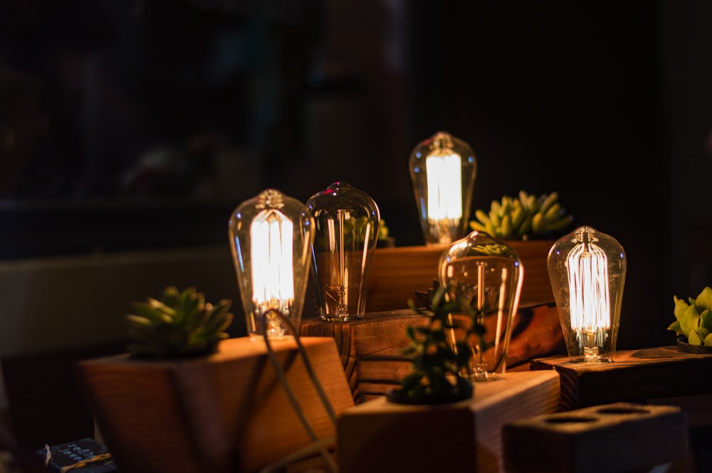 closeup photo of three lighted table lamps with plants