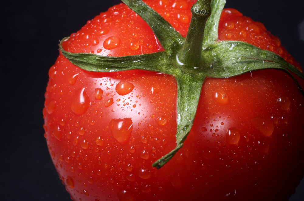 closeup photo of red tomato against black background