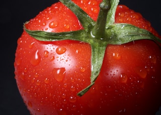 closeup photo of red tomato against black background