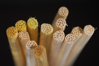 Several hollow, cylindrical tubes made of a natural material are closely arranged together. They display a texture similar to that of bamboo or reeds, showing intricate patterns on their cross-sections. The lighting highlights their fibrous structure.