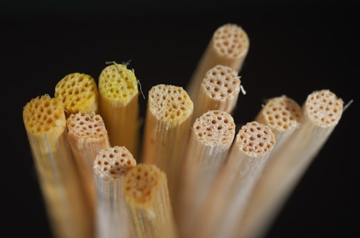 Several hollow, cylindrical tubes made of a natural material are closely arranged together. They display a texture similar to that of bamboo or reeds, showing intricate patterns on their cross-sections. The lighting highlights their fibrous structure.