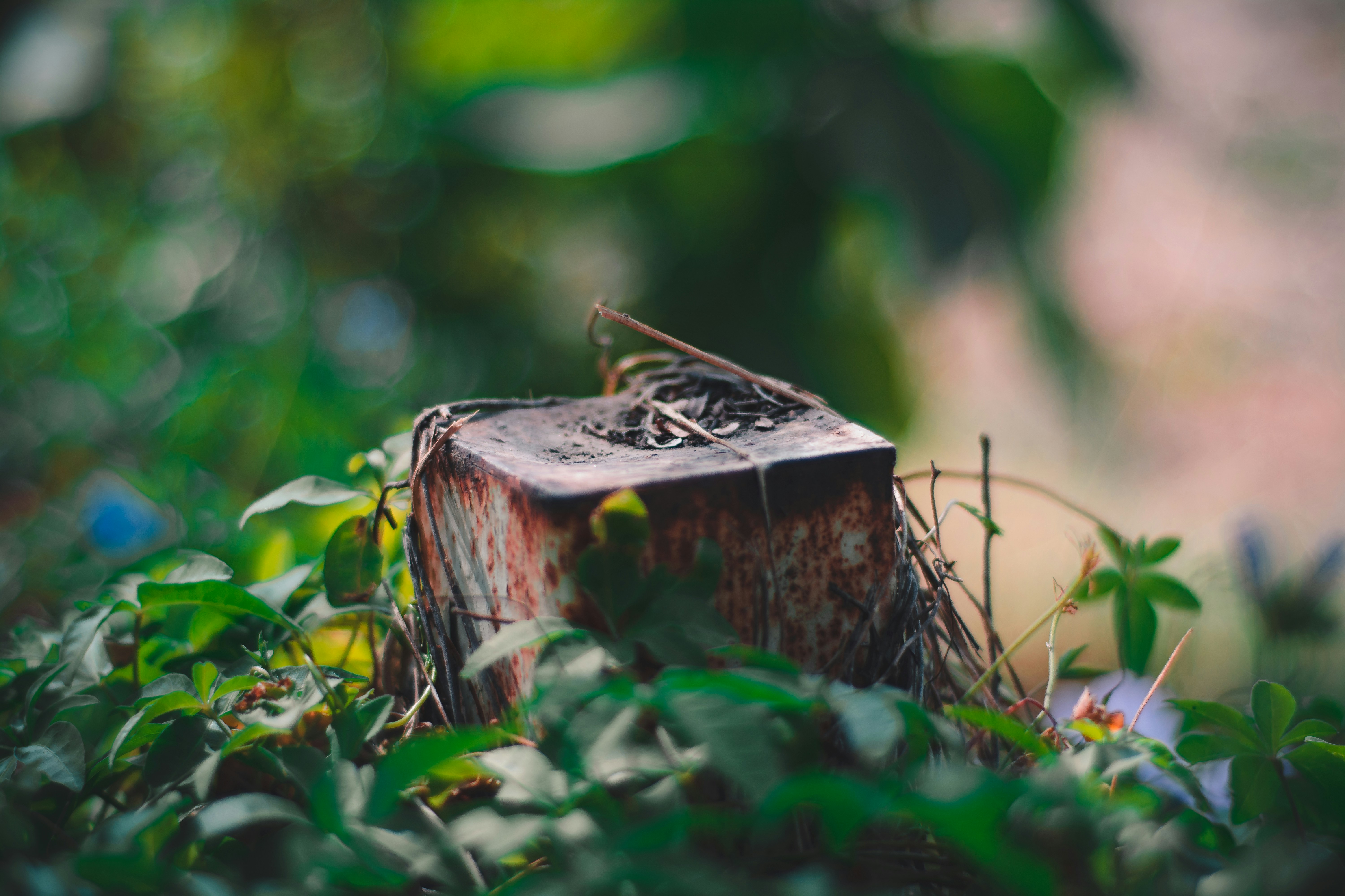 Image of an old steel cube in a forest 