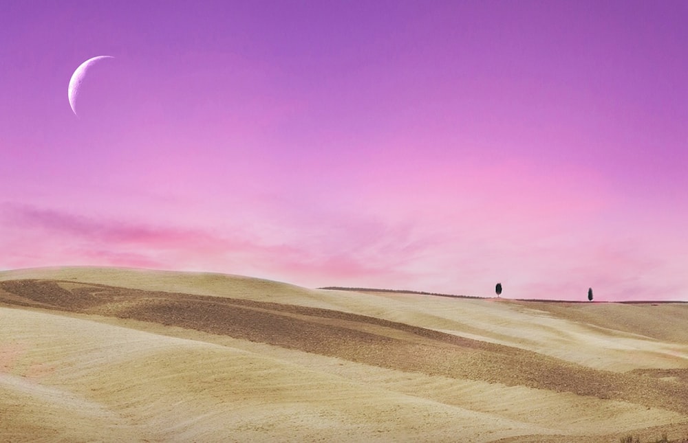 landscape photography of desert